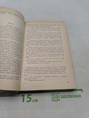По обе стороны проходной