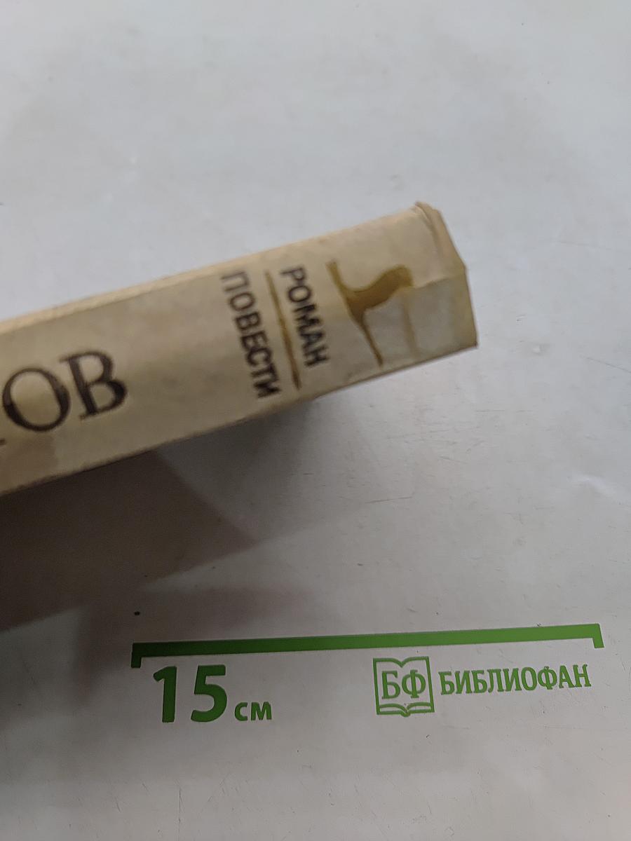 Полночь