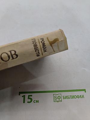 Полночь