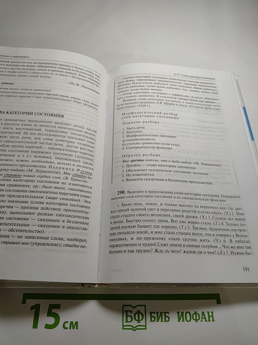 Русский язык 10-11 классы