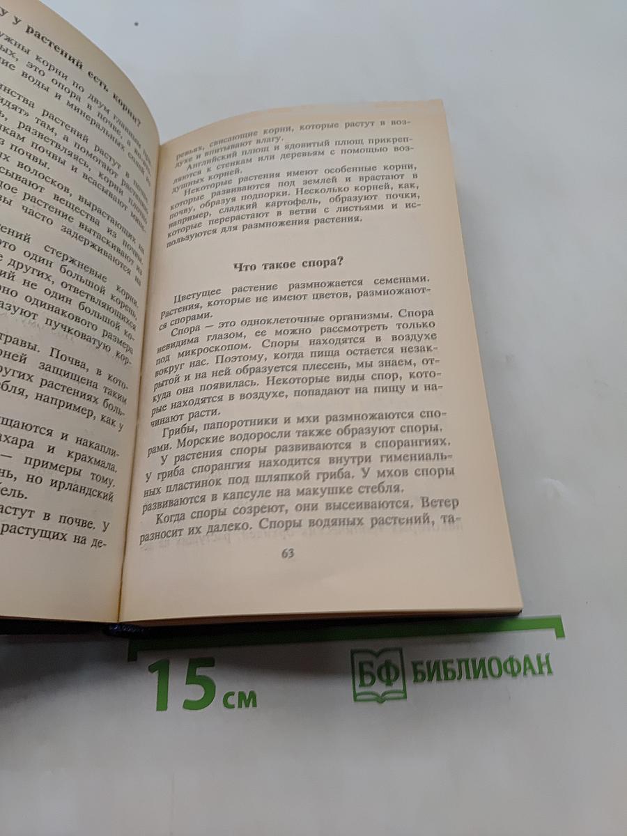 Всё обо всём. Популярная энциклопедия для детей. Том 4