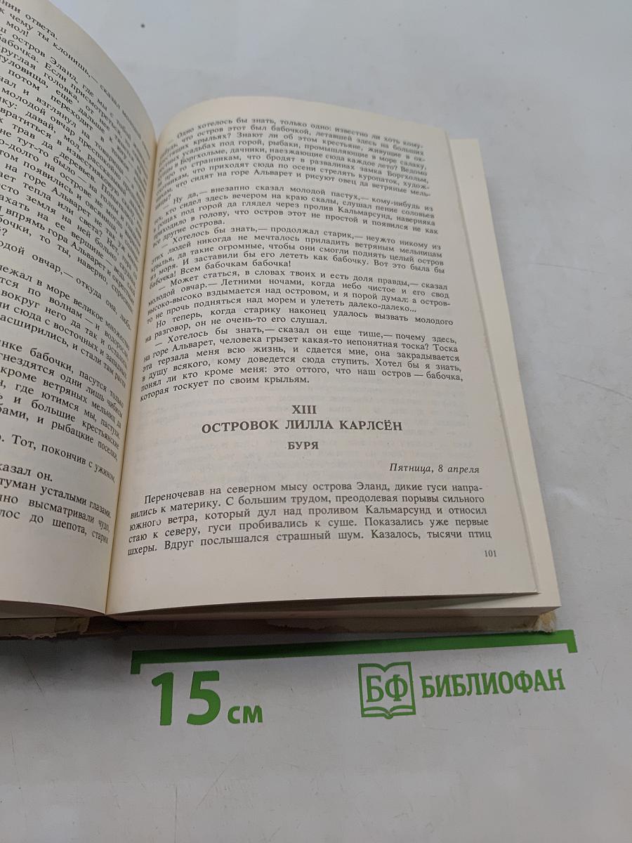 Удивительное путешествие Нильса Хольгерсона с дикими гусями по Швеции