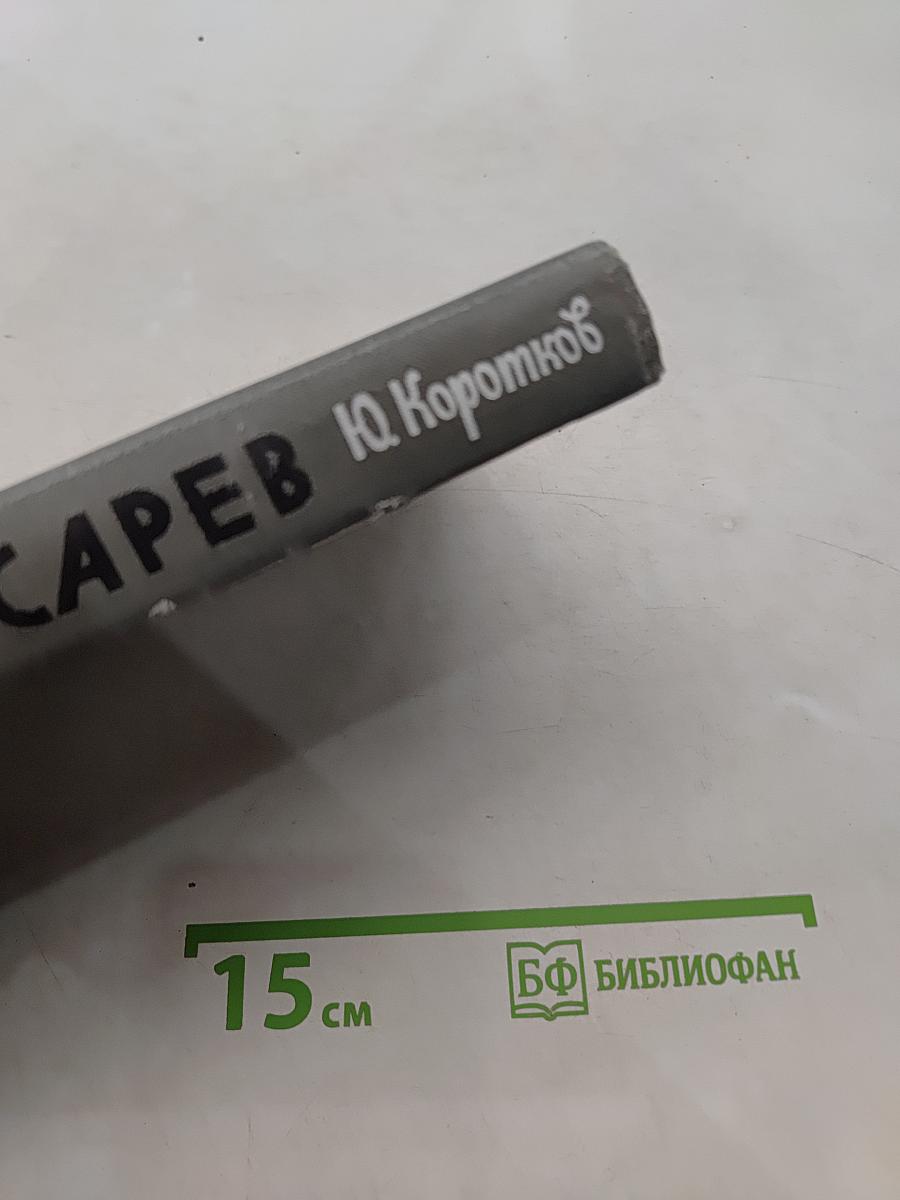 Писарев