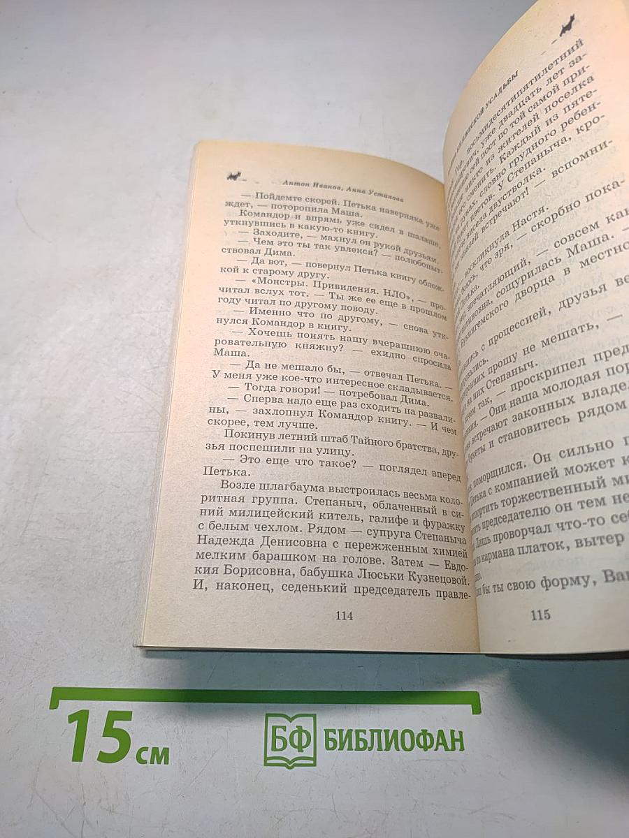 Тайна княжеской усадьбы