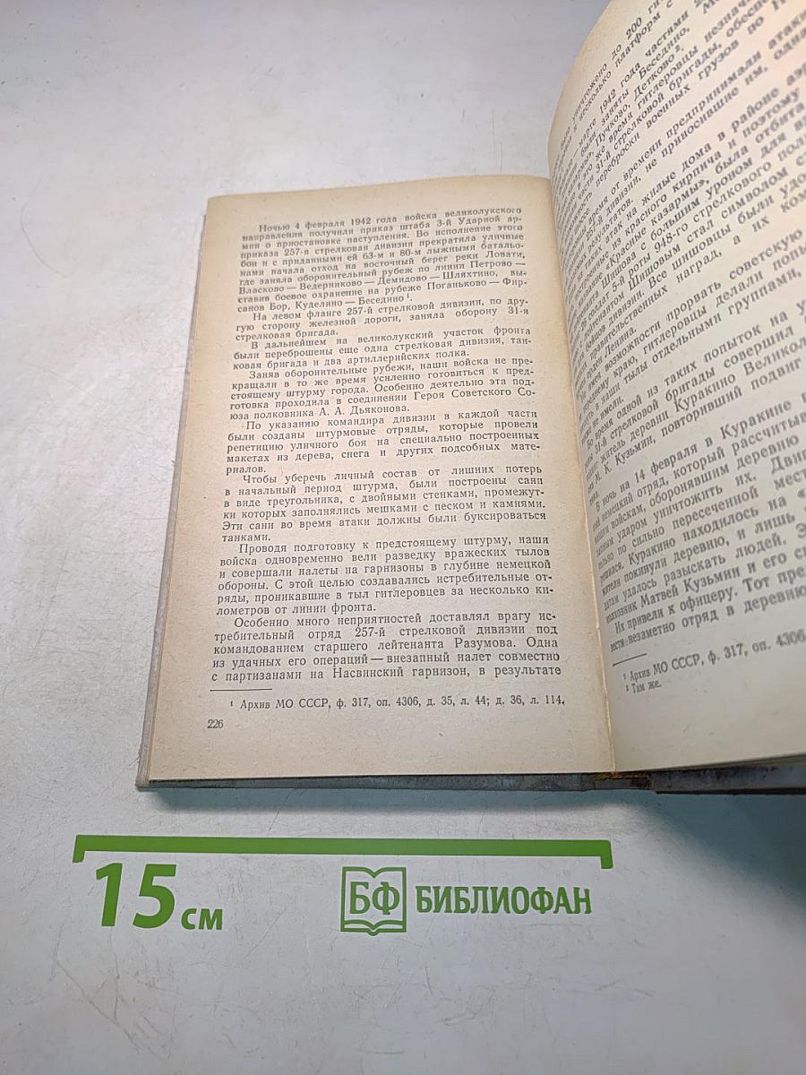 Великие Луки. Исторические очерки