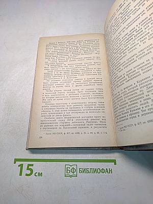 Великие Луки. Исторические очерки