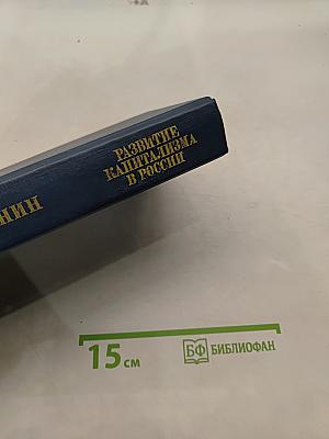 Развитие капитализма в России. Процесс образования внутреннего рынка для крупной промышленности