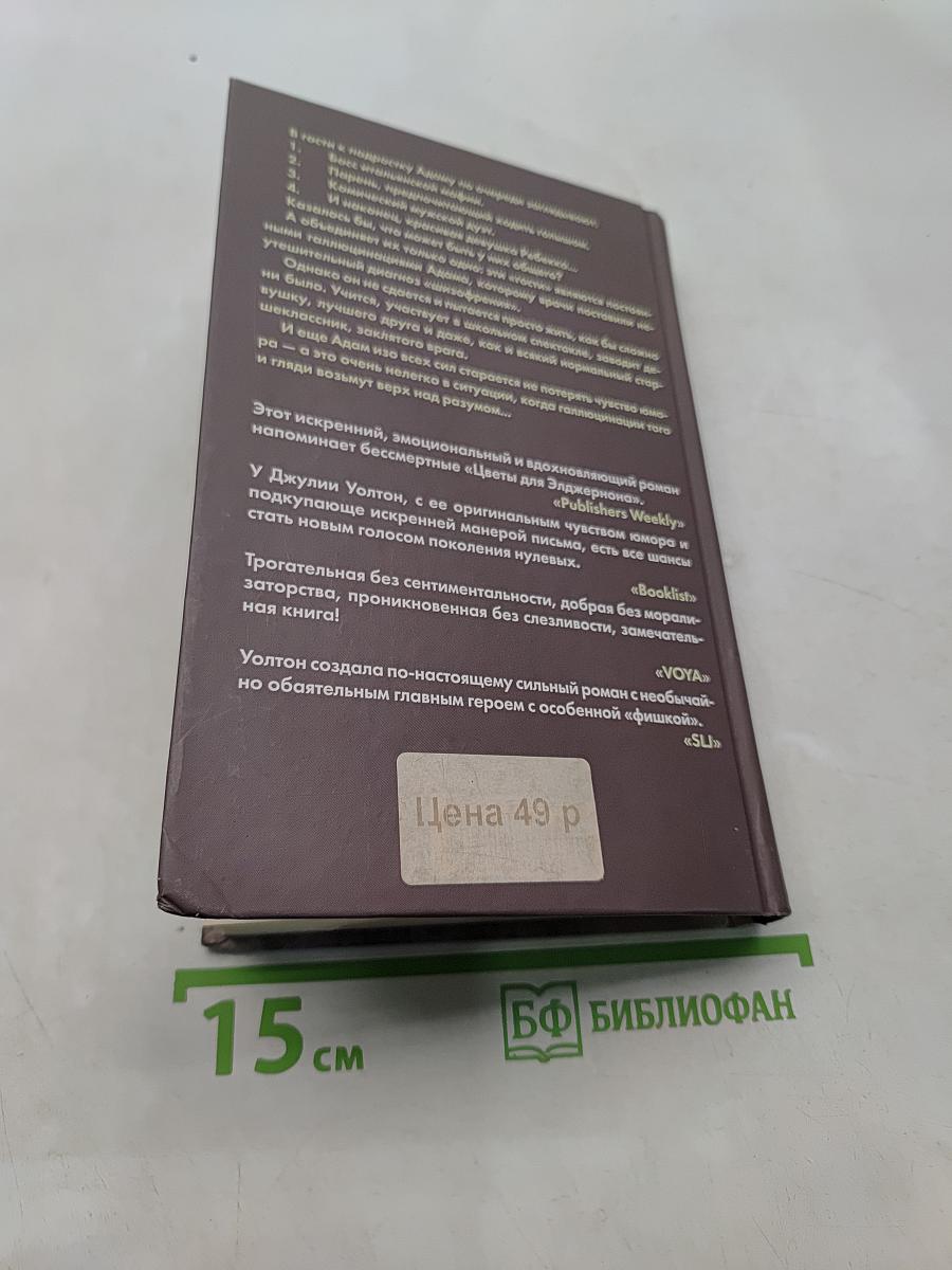 Слова на стене
