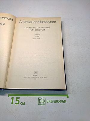Собрание сочинений. Том шестой. Победа. Роман. Книга третья