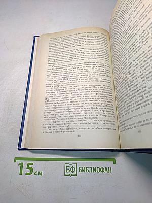 Собрание сочинений. Том шестой. Победа. Роман. Книга третья