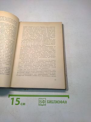 Роман одного открытия