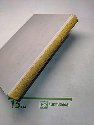 Роман одного открытия