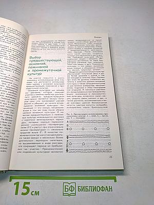 Год на садовом участке