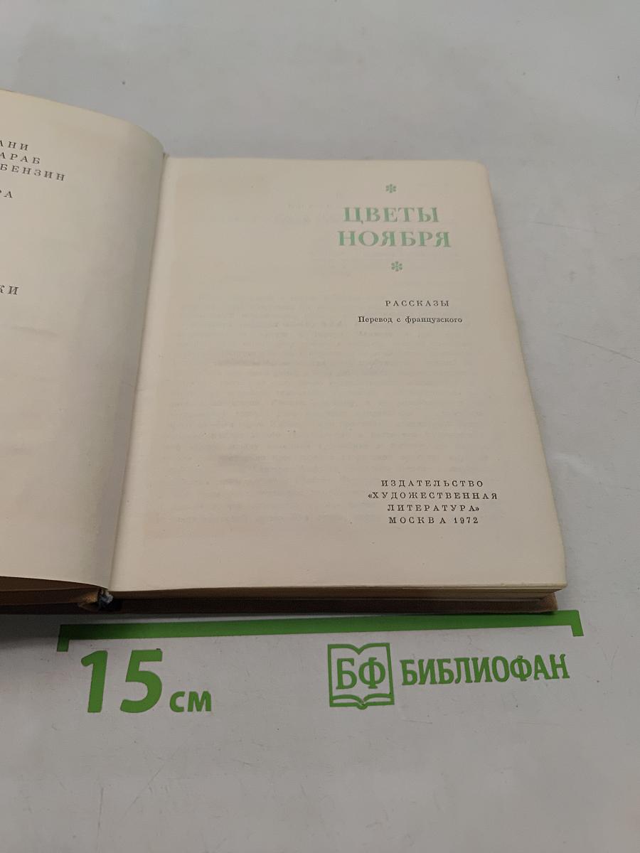 Цветы ноября