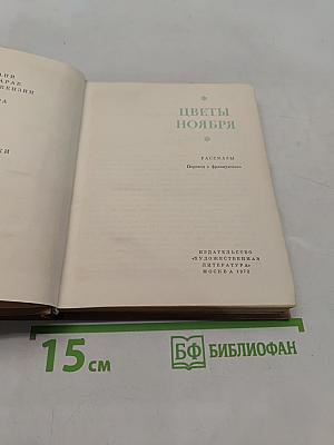 Цветы ноября