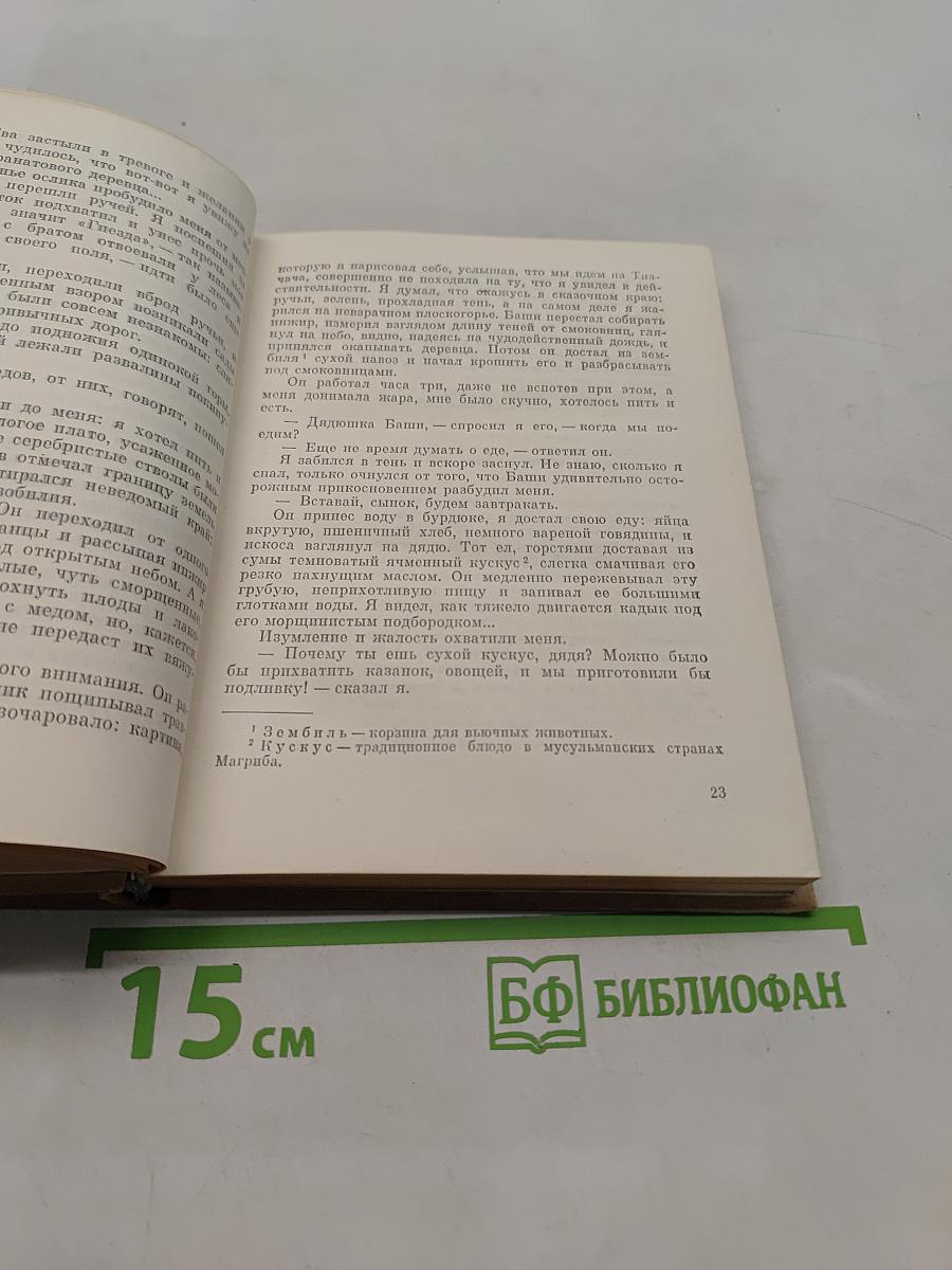 Цветы ноября