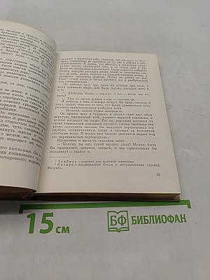 Цветы ноября