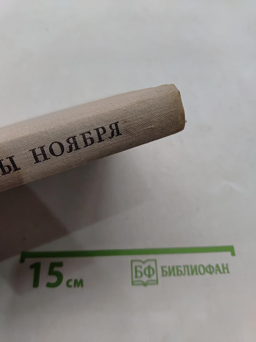 Цветы ноября