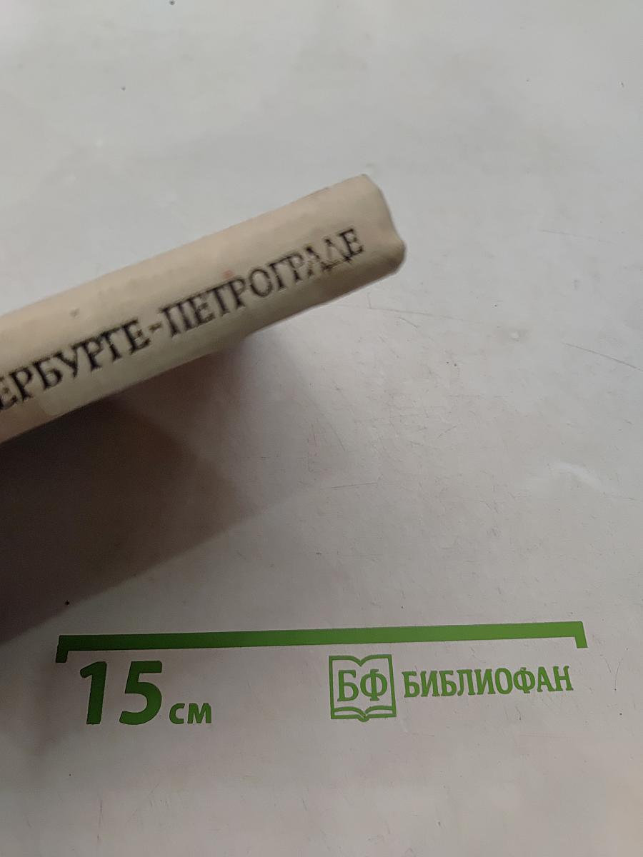 Семья Ульяновых в Петербурге-Петрограде