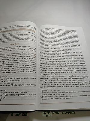 Литература 8 класс Часть 2