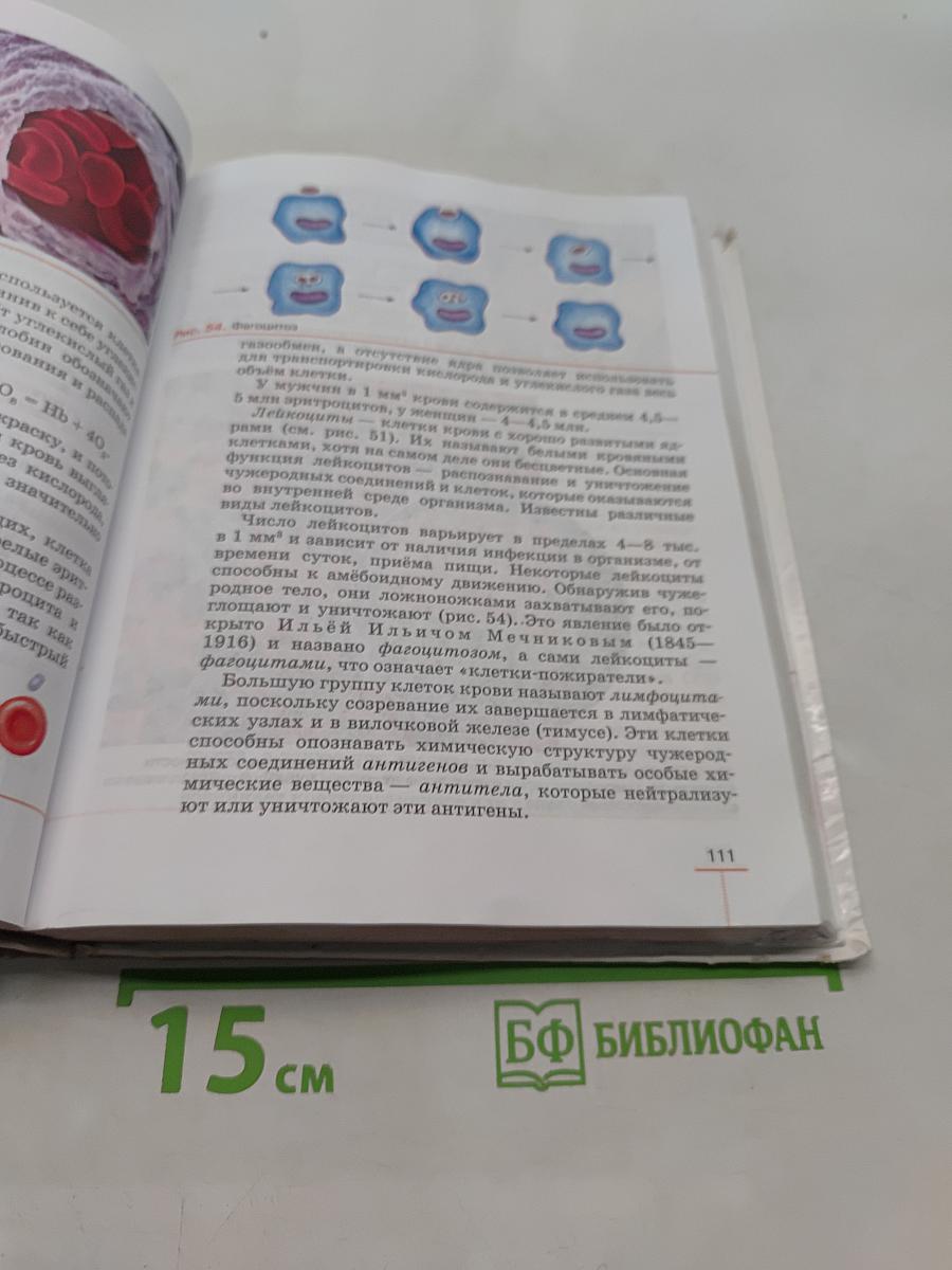 Биология. Человек. Учебник. 8 класс