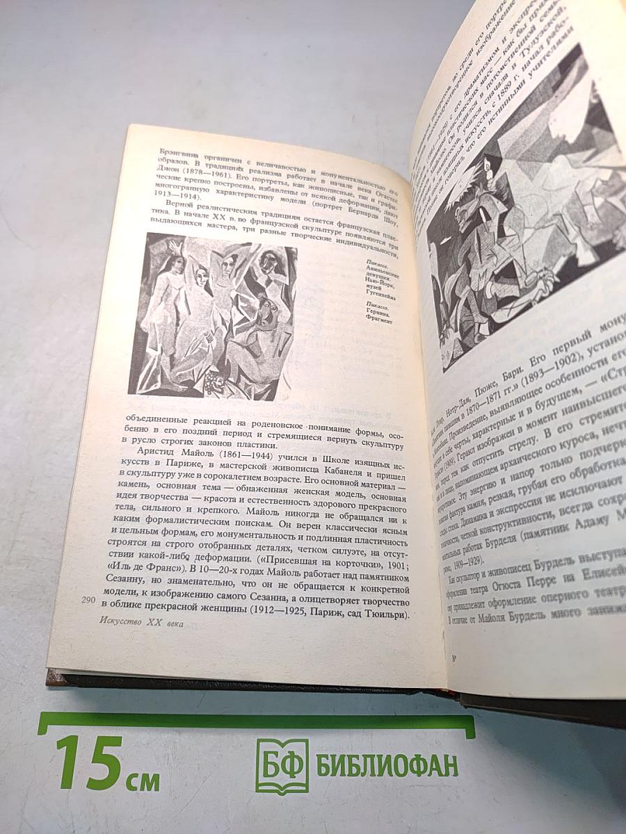 История искусств. Западно-европейское искусство