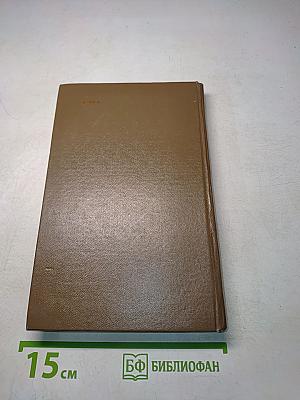 История искусств. Западно-европейское искусство