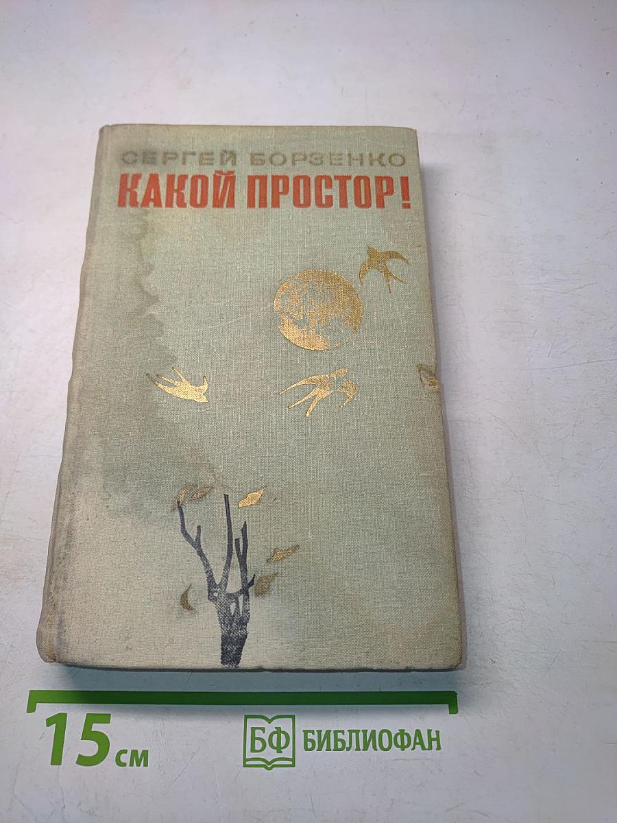 Какой простор! Роман. Книга вторая. Бытие
