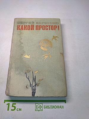 Какой простор! Роман. Книга вторая. Бытие
