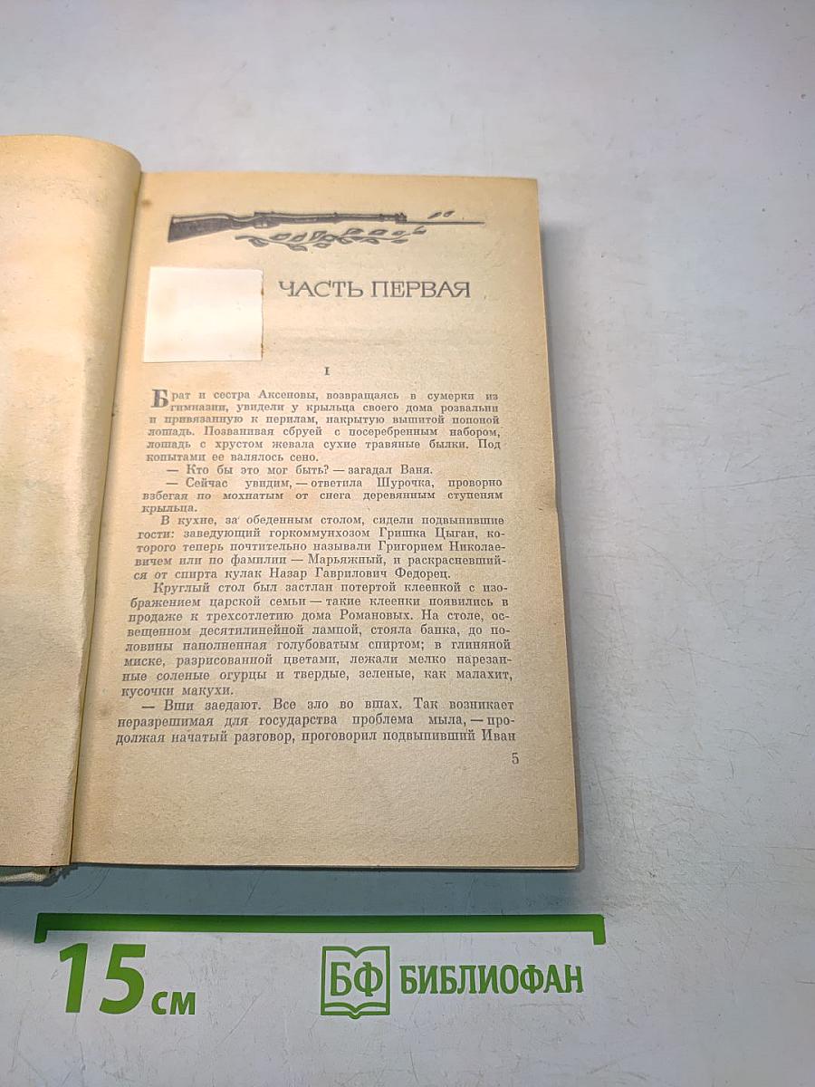 Какой простор! Роман. Книга вторая. Бытие