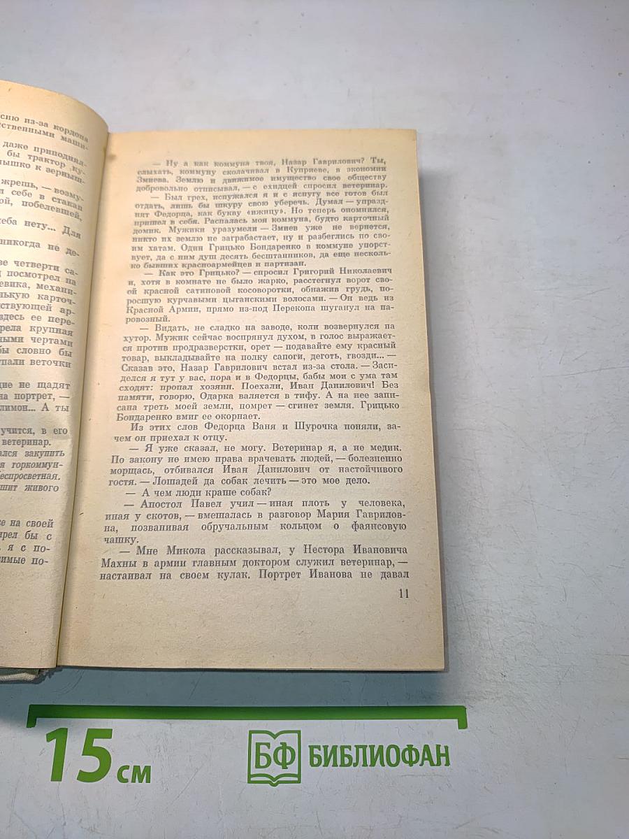 Какой простор! Роман. Книга вторая. Бытие