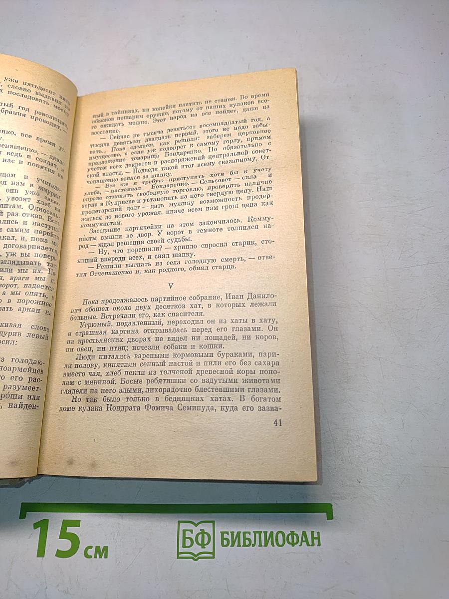 Какой простор! Роман. Книга вторая. Бытие