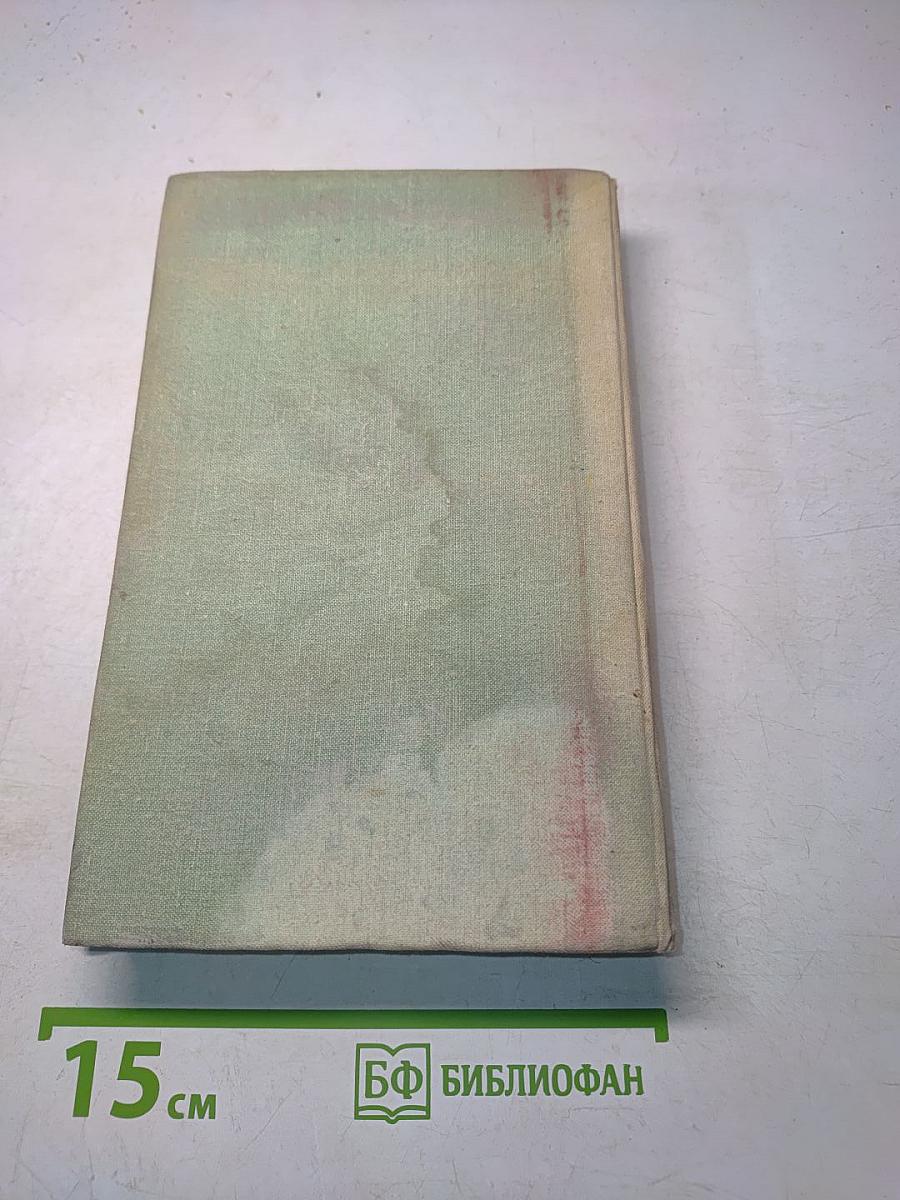 Какой простор! Роман. Книга вторая. Бытие