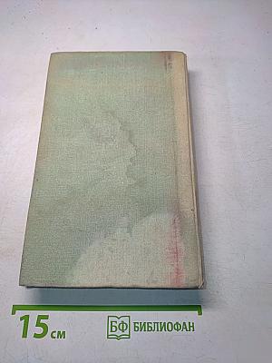 Какой простор! Роман. Книга вторая. Бытие