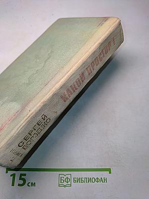 Какой простор! Роман. Книга вторая. Бытие
