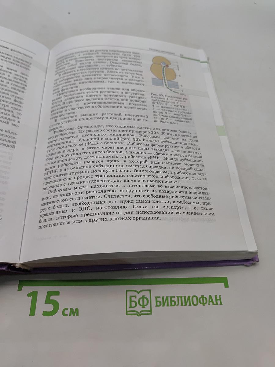 Биология. Общая биология. 10-11 классы