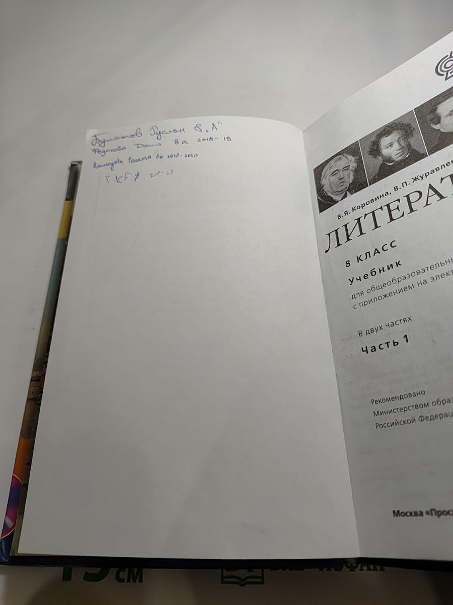 Литература. 8 класс. Учебник. Часть 1