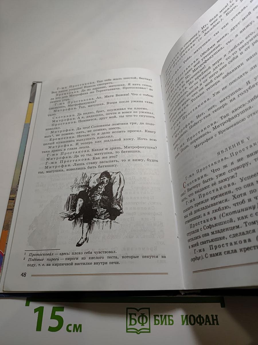 Литература. 8 класс. Учебник. Часть 1