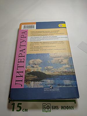 Литература. 8 класс. Учебник. Часть 1