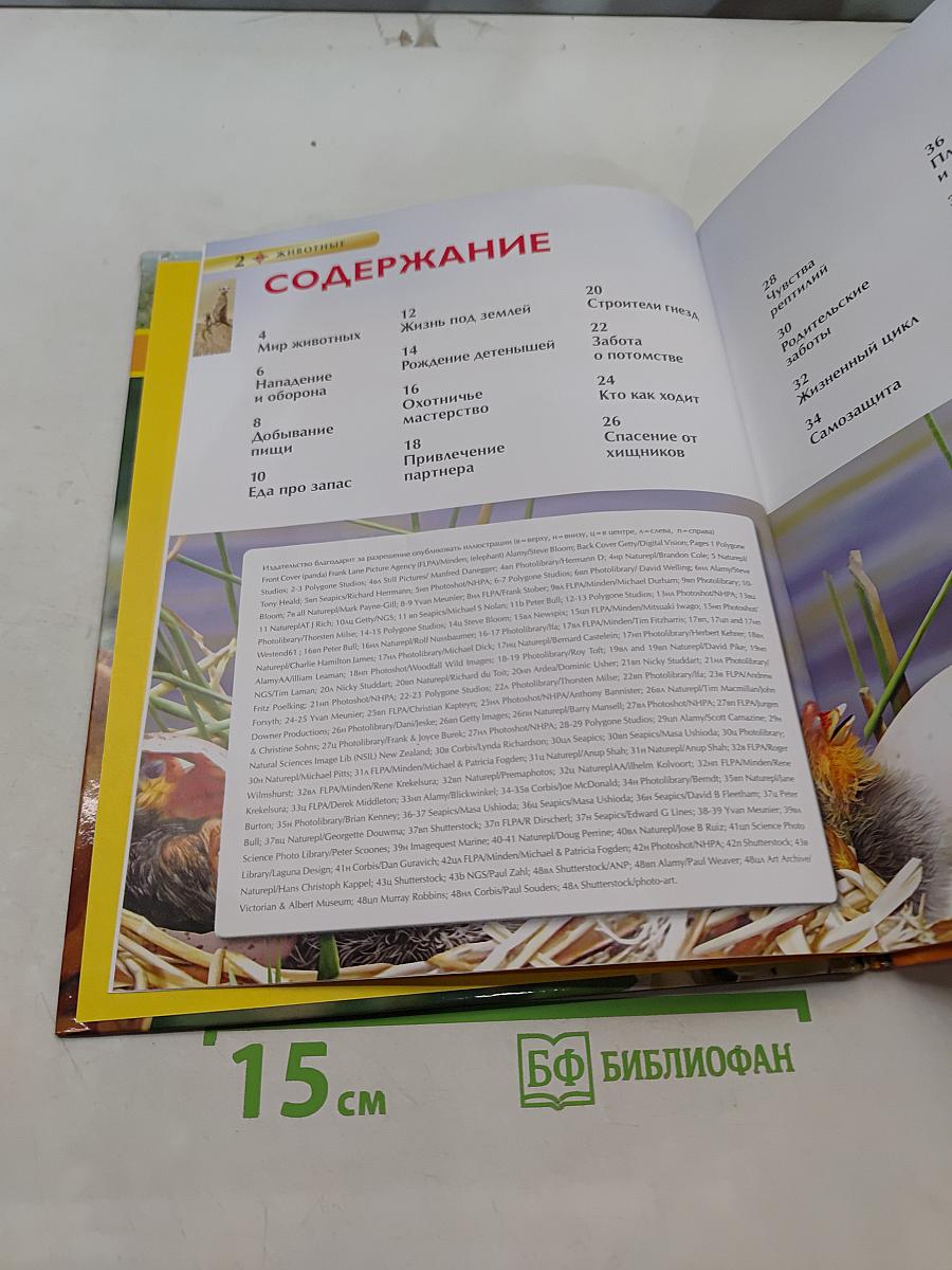 Животные. Большая энциклопедия знаний