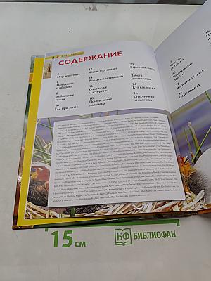 Животные. Большая энциклопедия знаний