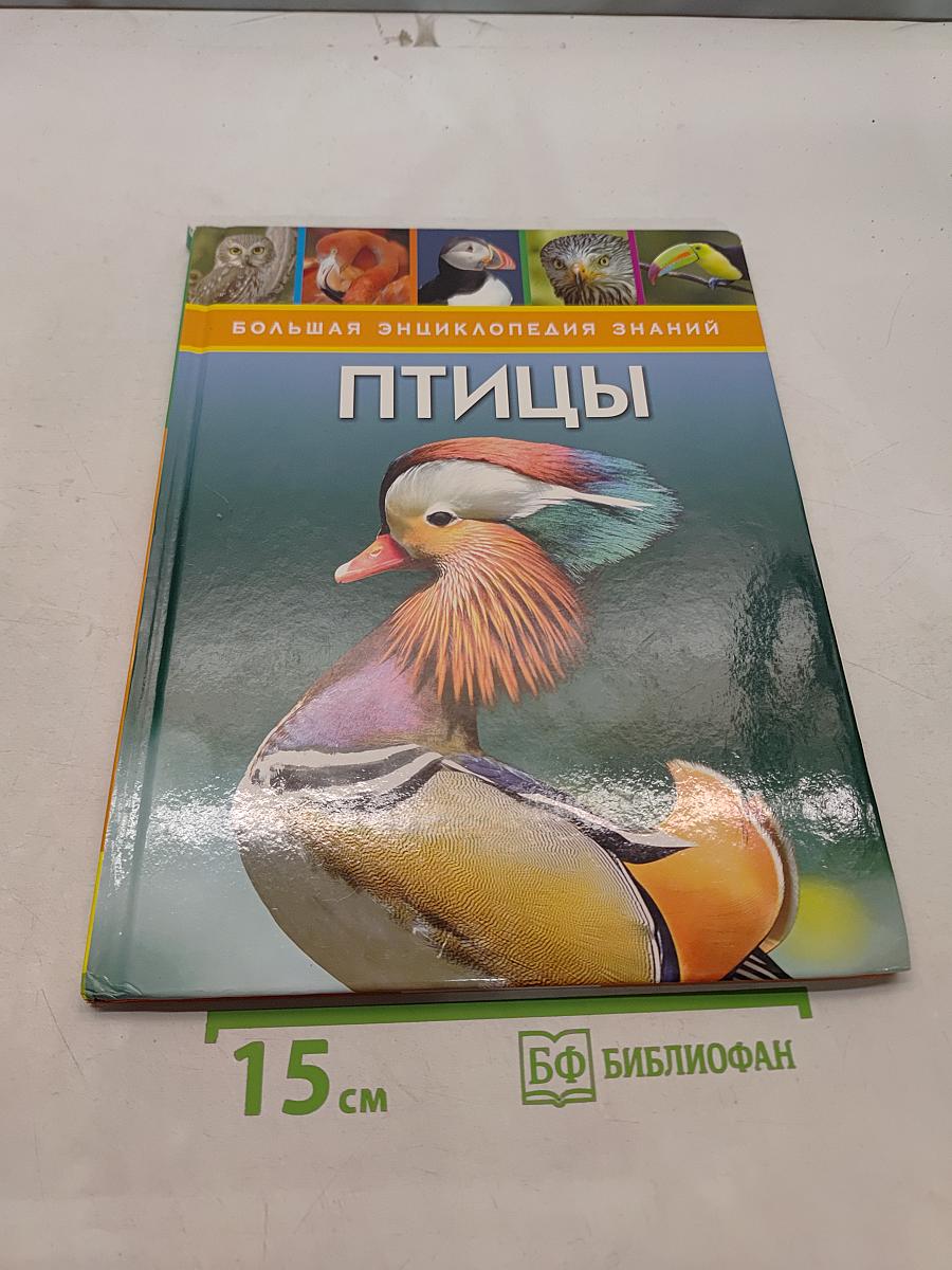 Птицы