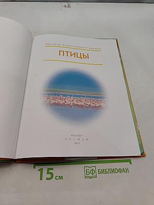 Птицы