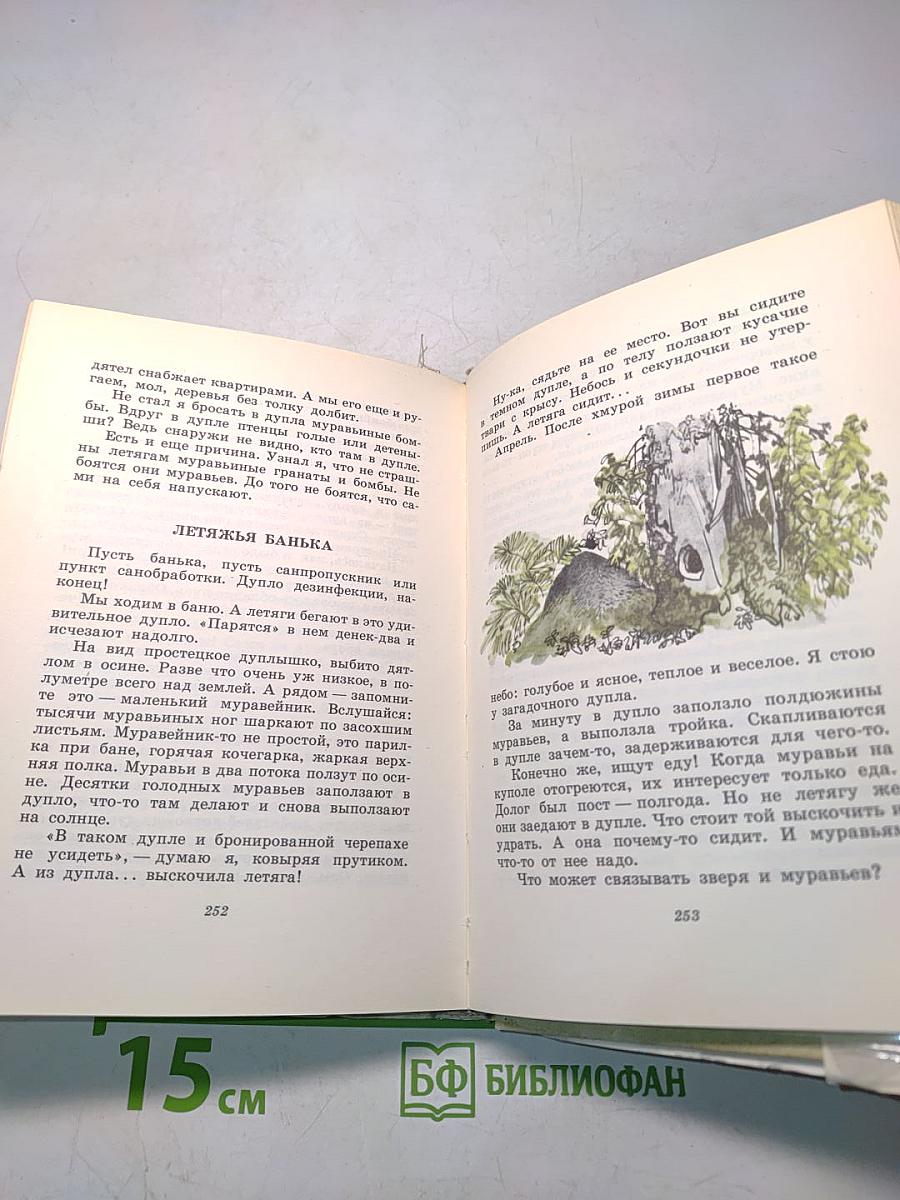 Основный невидима