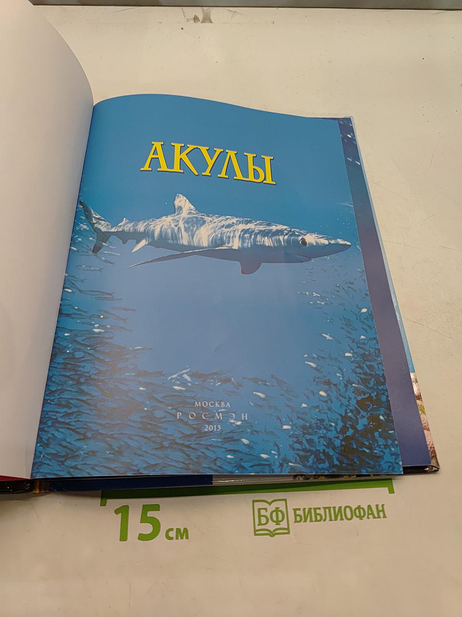 Акулы