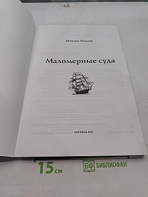 Маломерные суда