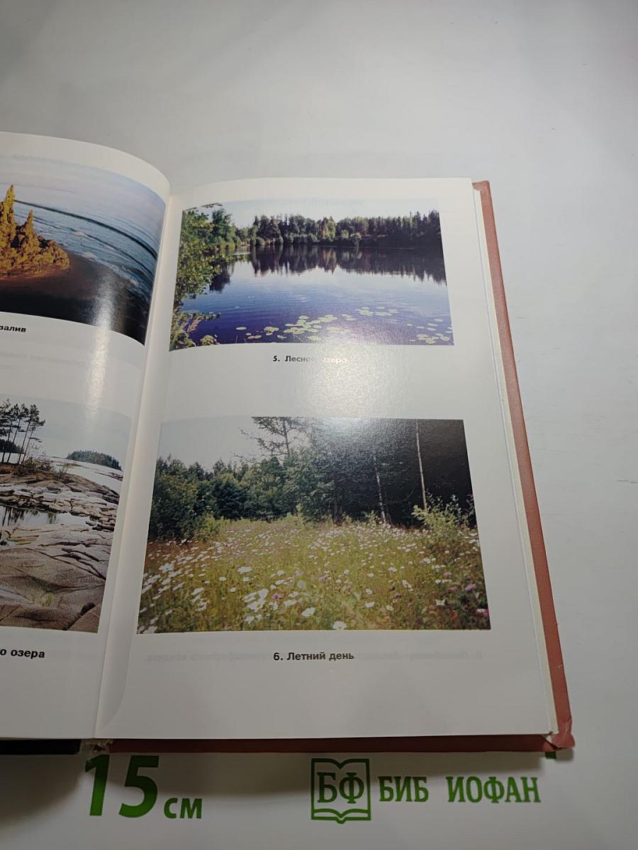 География Санкт-Петербурга и Ленинградской области. Учебник для 9-го класса