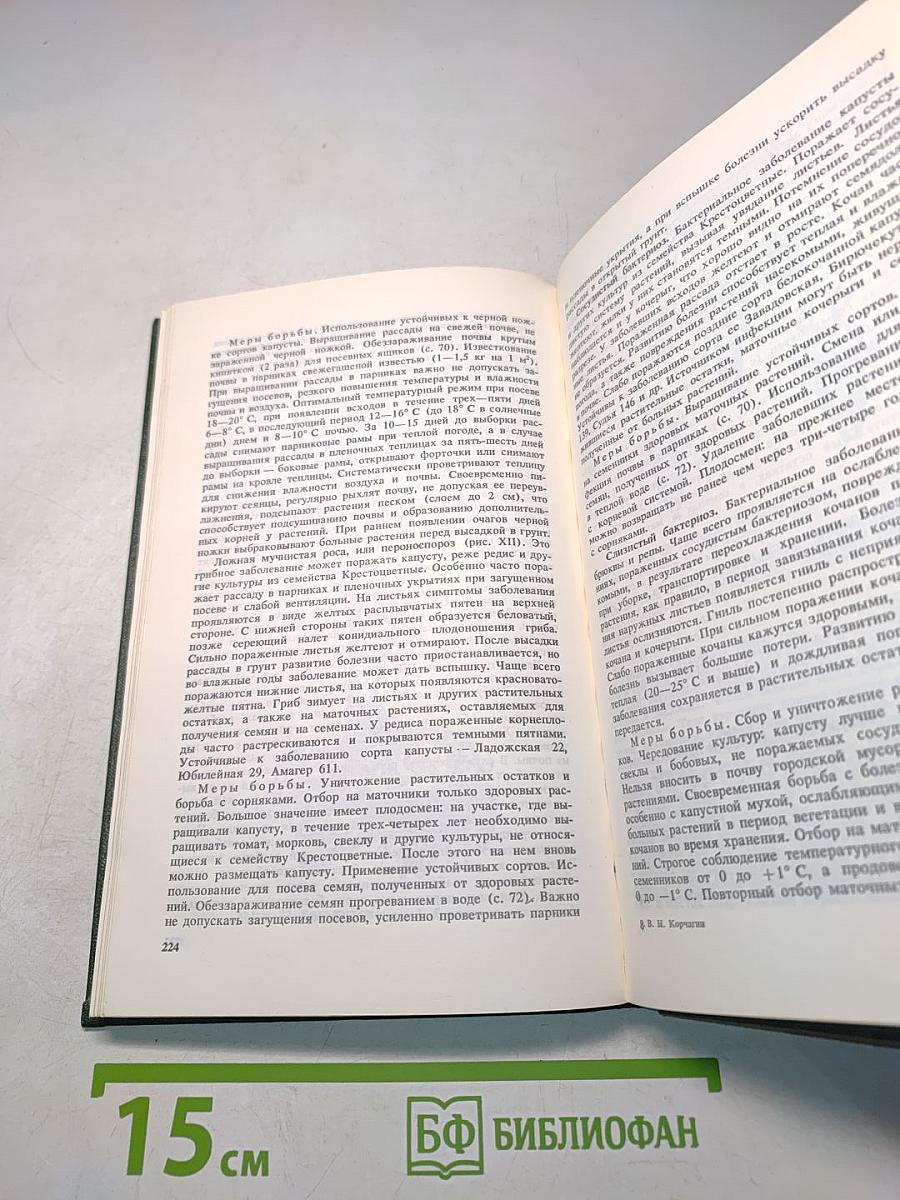 Защита растений от вредителей и болезней на садовом участке