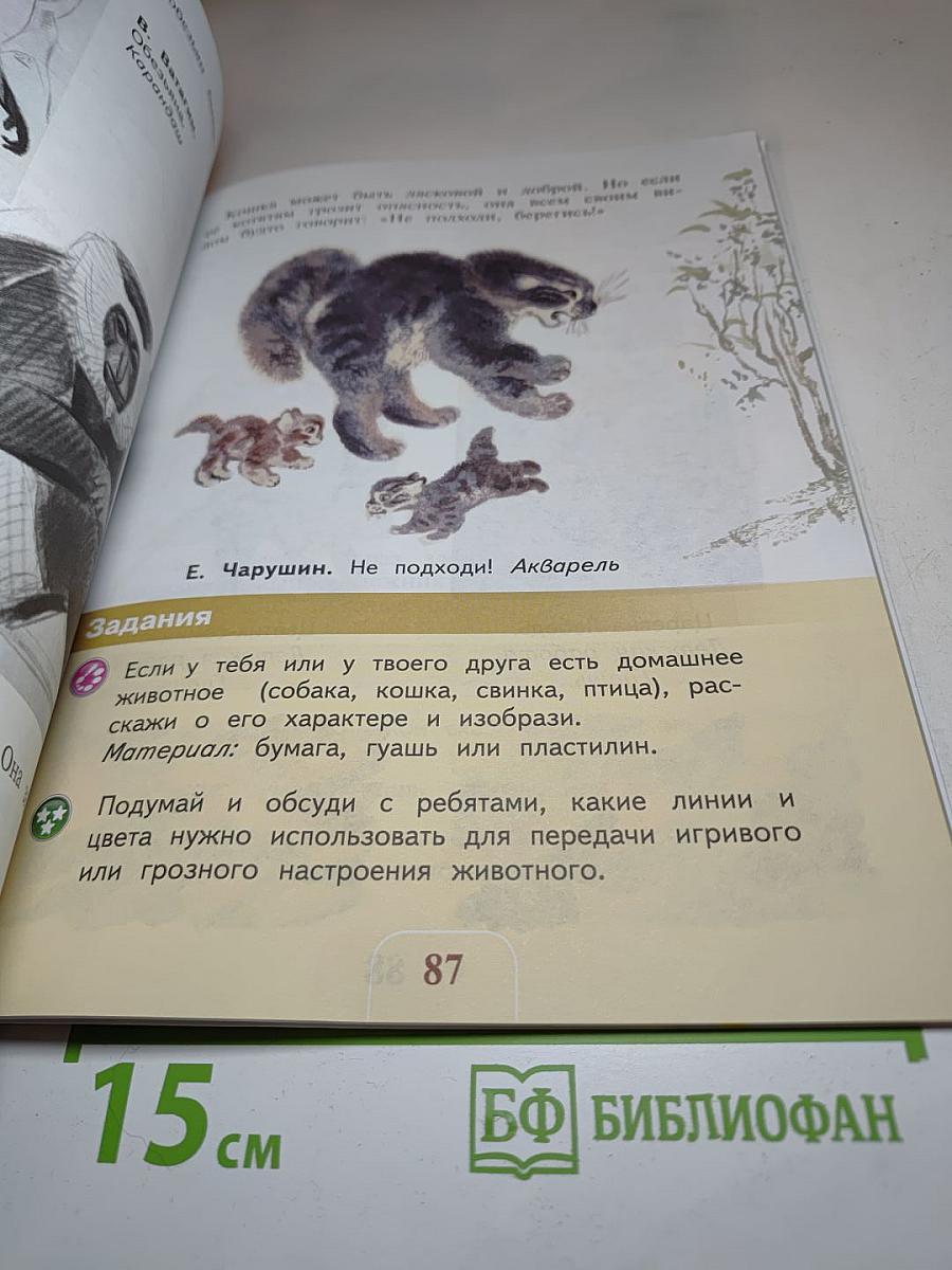 Изобразительное искусство. Искусство и ты, 2 класс