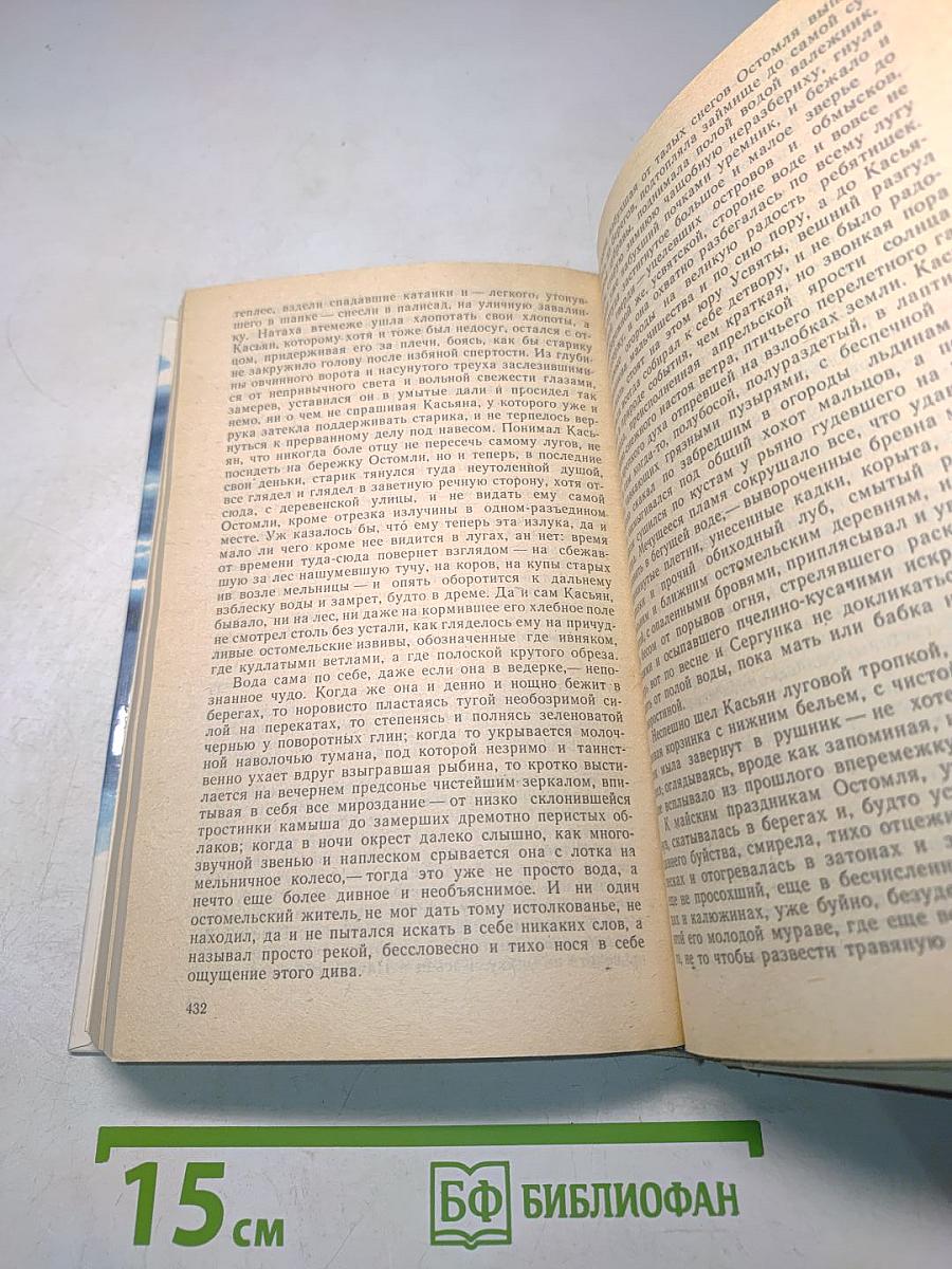 Усвятские шлемоносцы